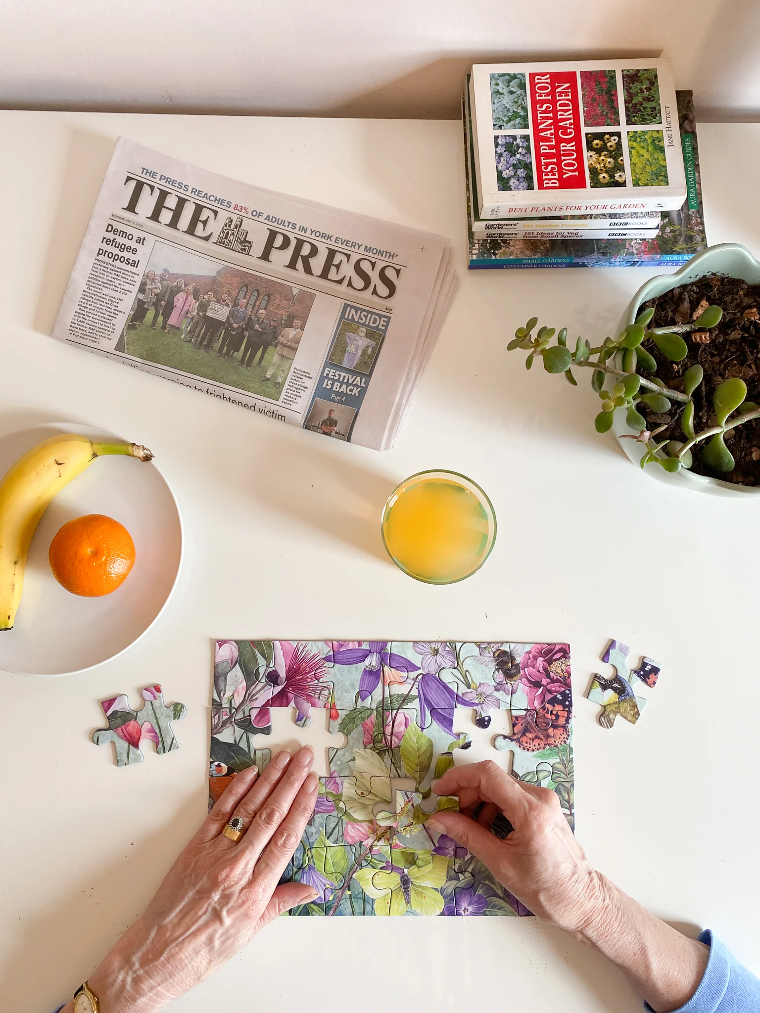 The Garden (24XXL) Jigsaw Puzzle - 4