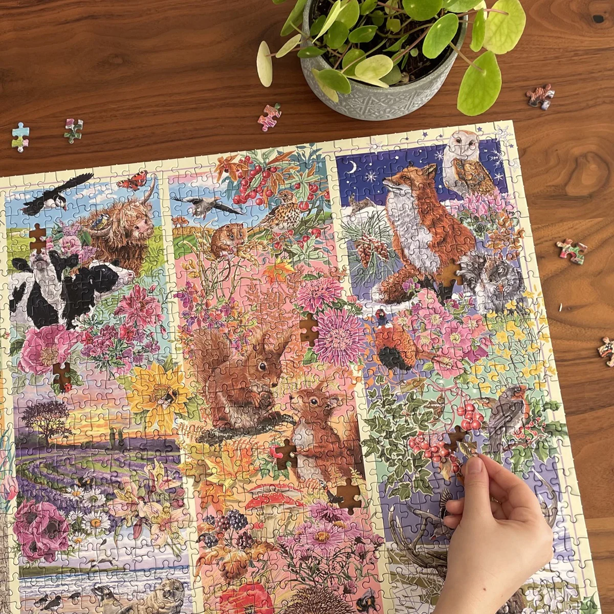 Through the Seasons (1000) Puzzle - 2