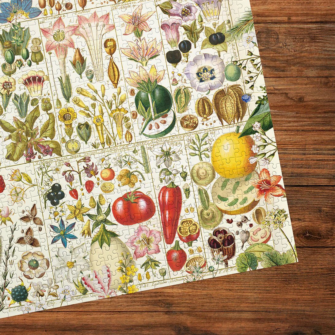 RHS: Botanical Bliss (1000) Jigsaw Puzzle - 3