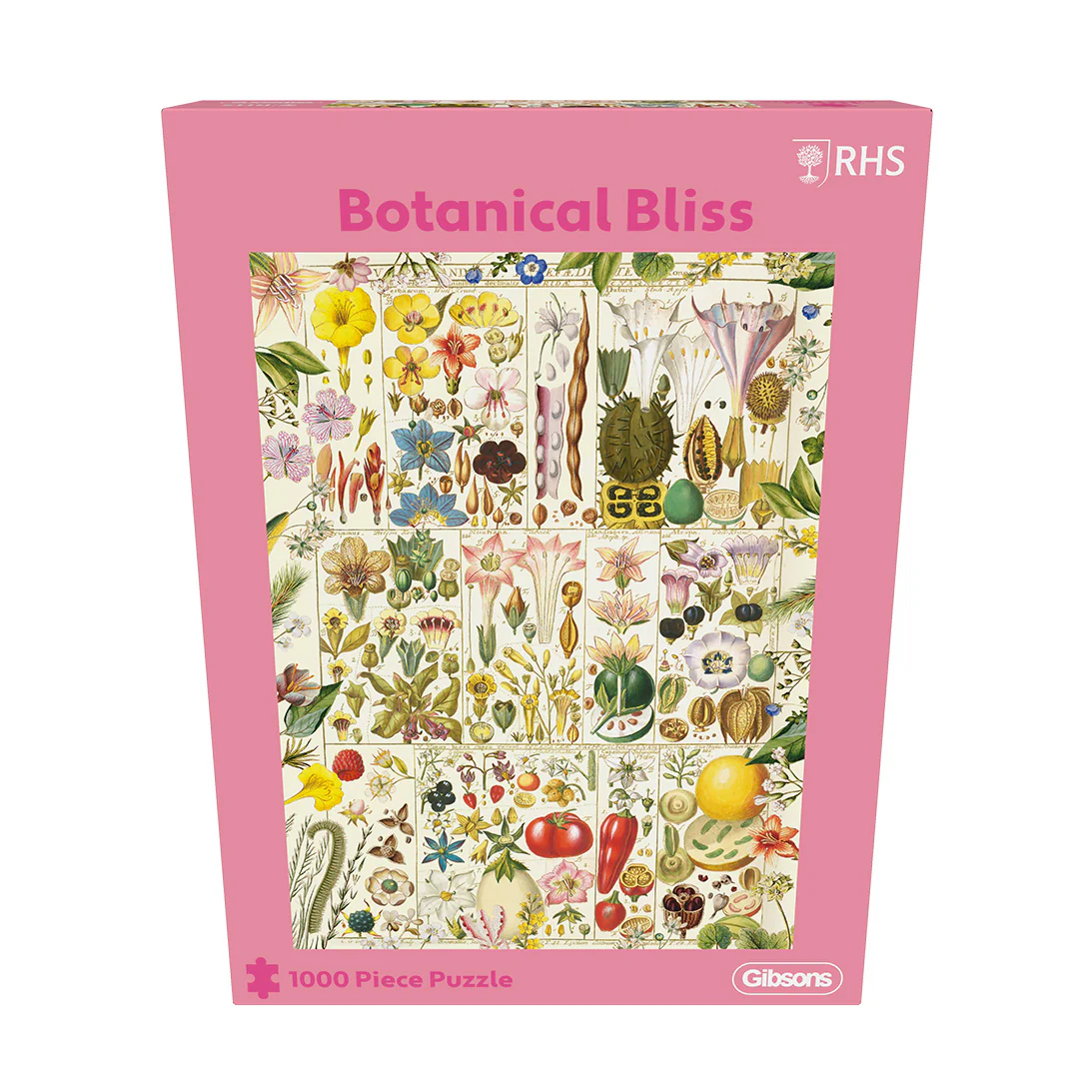 RHS: Botanical Bliss (1000) Jigsaw Puzzle - 6