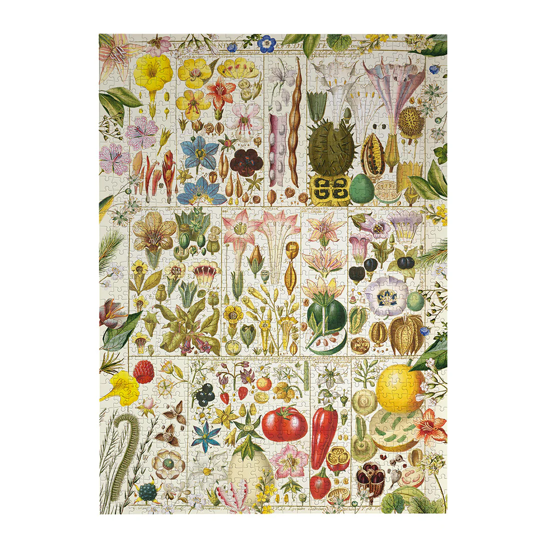 RHS: Botanical Bliss (1000) Jigsaw Puzzle - 9