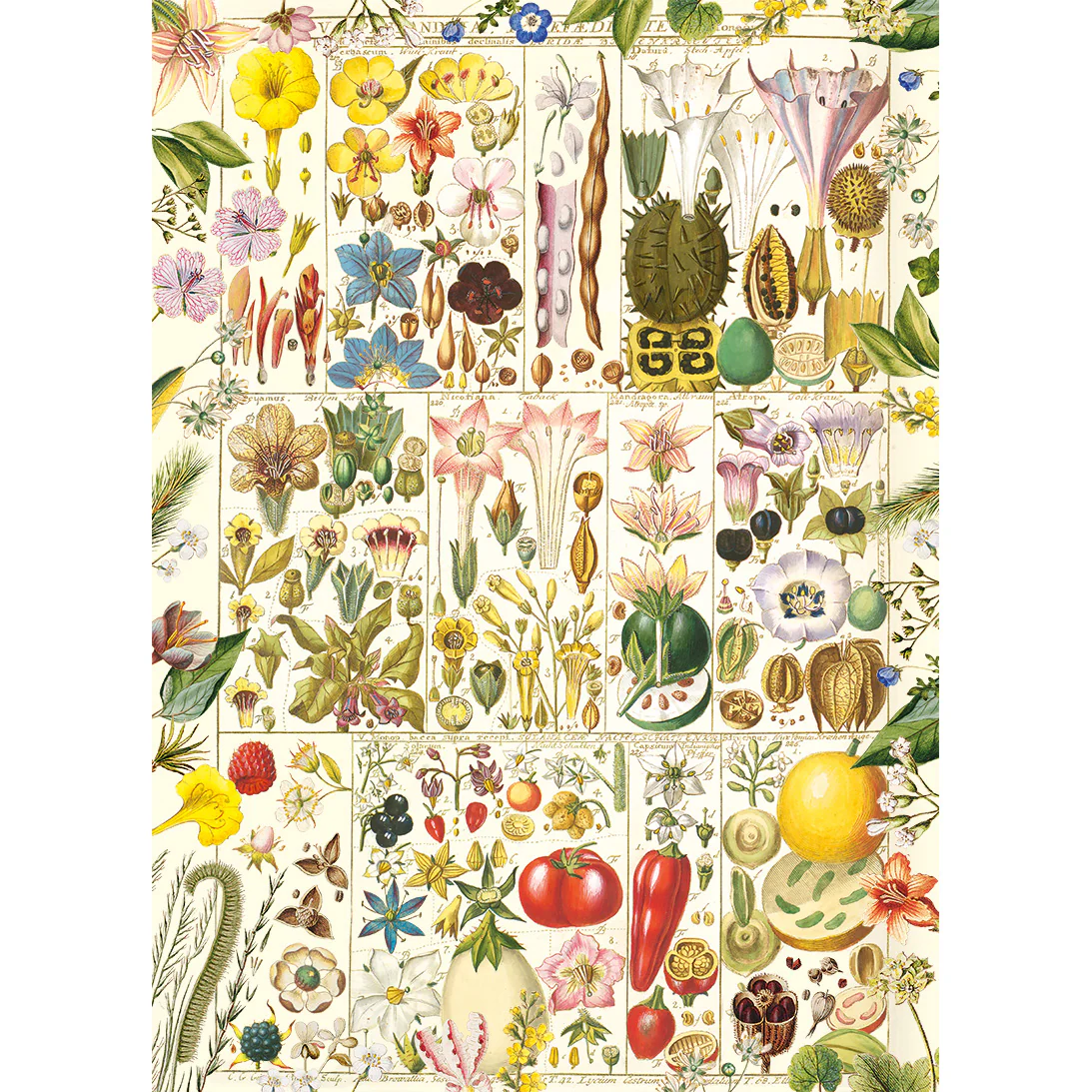 RHS: Botanical Bliss (1000) Jigsaw Puzzle - 5