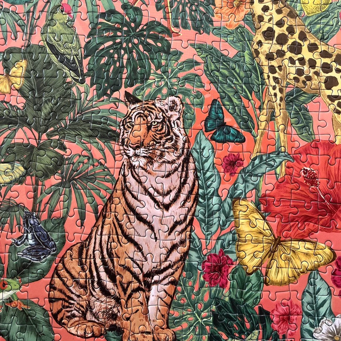 Soleil 1000 Piece Puzzle - 4