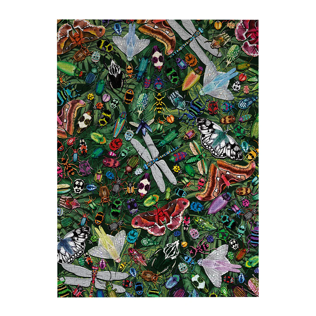 The Art File: Winged Wonders (1000) Puzzle - 8