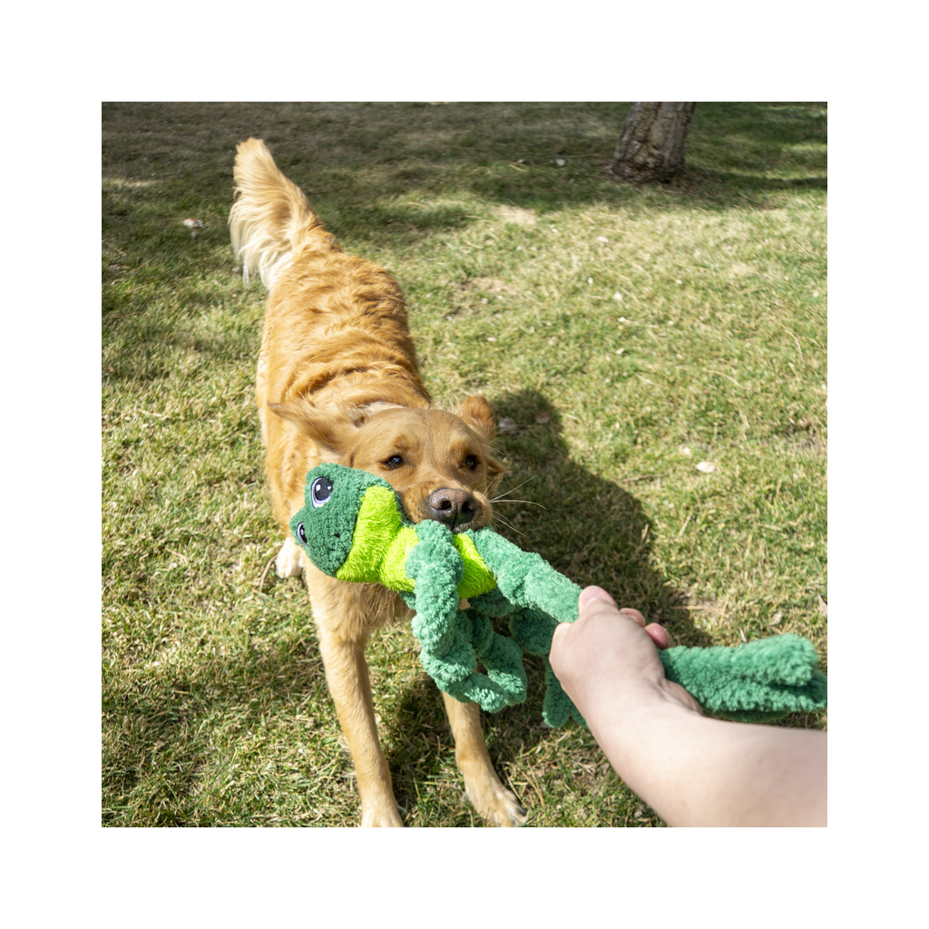 KONG Knots Frosch Hundespielzeug L/XL - Grün - Quietschgeräusch
