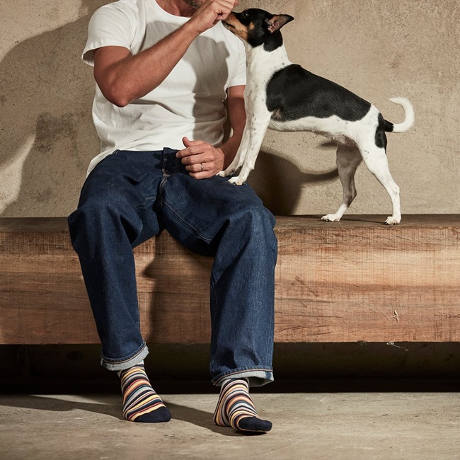 Topeco Multistripe Navy - 2