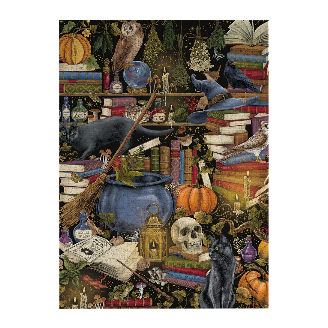The Art File: Witchcraft (1000) Puzzle - 7