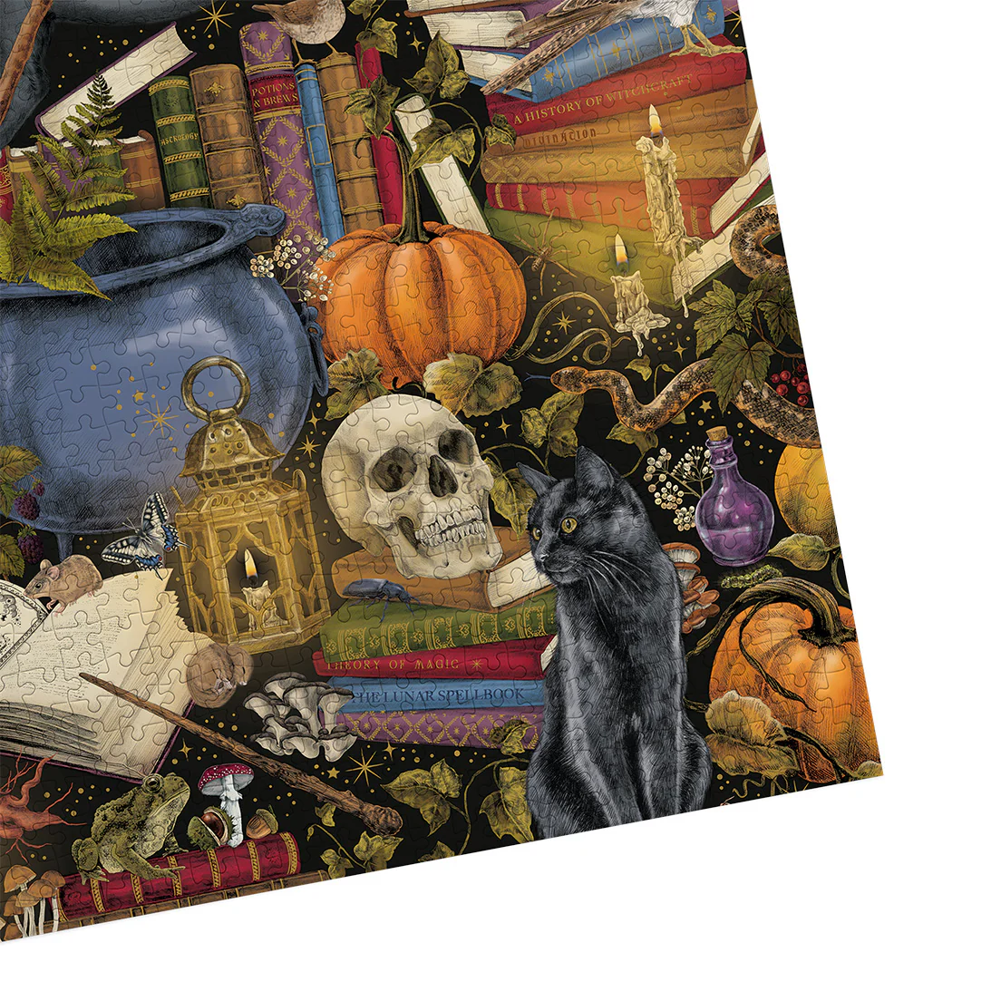 The Art File: Witchcraft (1000) Puzzle - 8