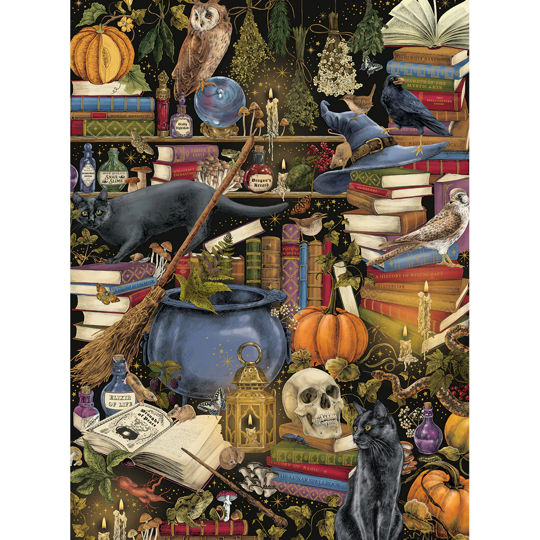 The Art File: Witchcraft (1000) Puzzle - 4