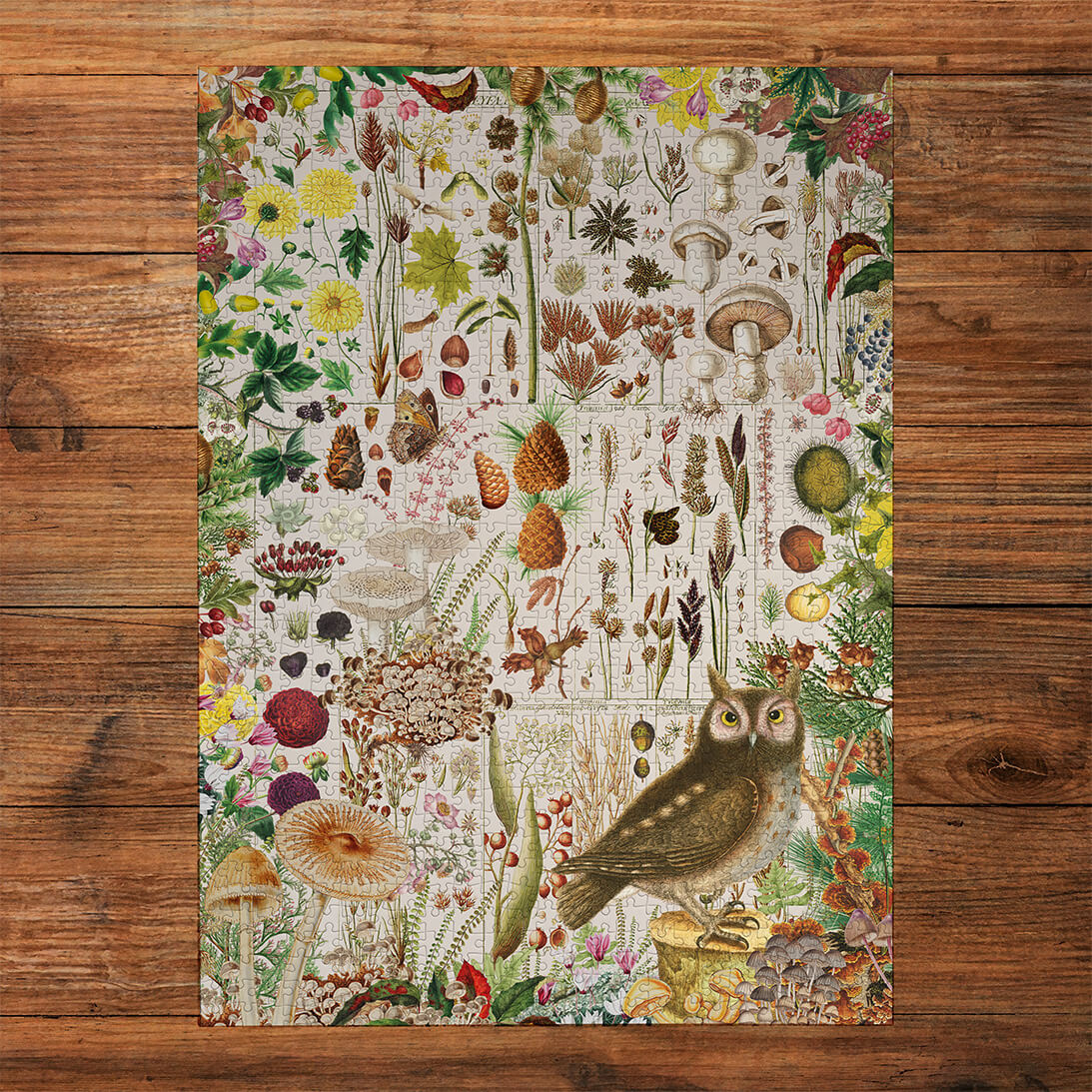 RHS: Fall Flora (1000) Jigsaw Puzzle - 2