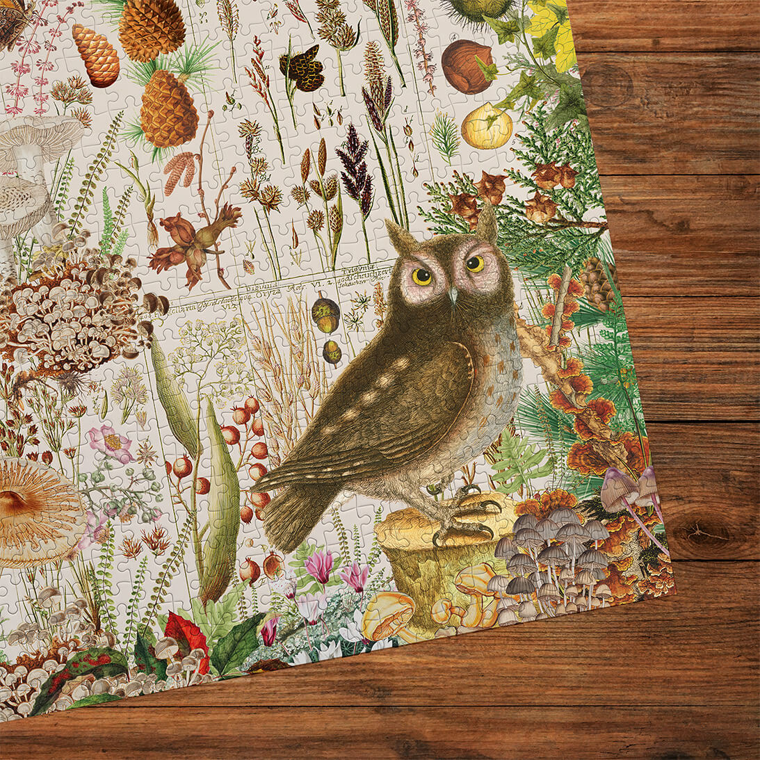 RHS: Fall Flora (1000) Jigsaw Puzzle - 3