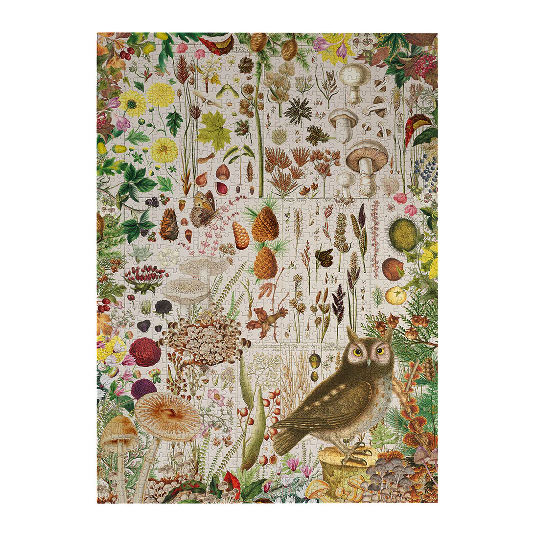 RHS: Fall Flora (1000) Jigsaw Puzzle - 8