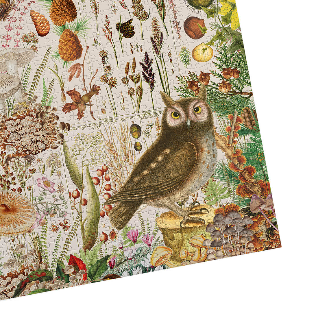 RHS: Fall Flora (1000) Jigsaw Puzzle - 7