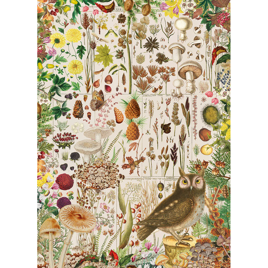 RHS: Fall Flora (1000) Jigsaw Puzzle - 6