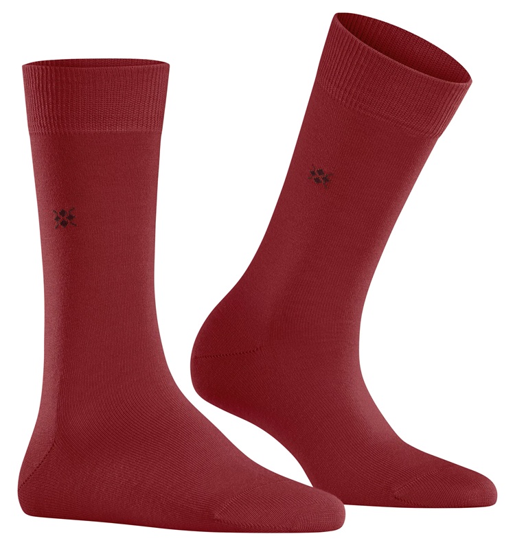 Burlington Bloomsbury Jungfru-ull Dam