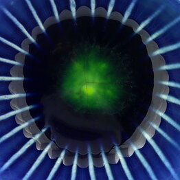 Carl-Harry Stålhane (Anemone 1960s) Blue Five-Sided Bowl with Linear Relief 8 cm (3)