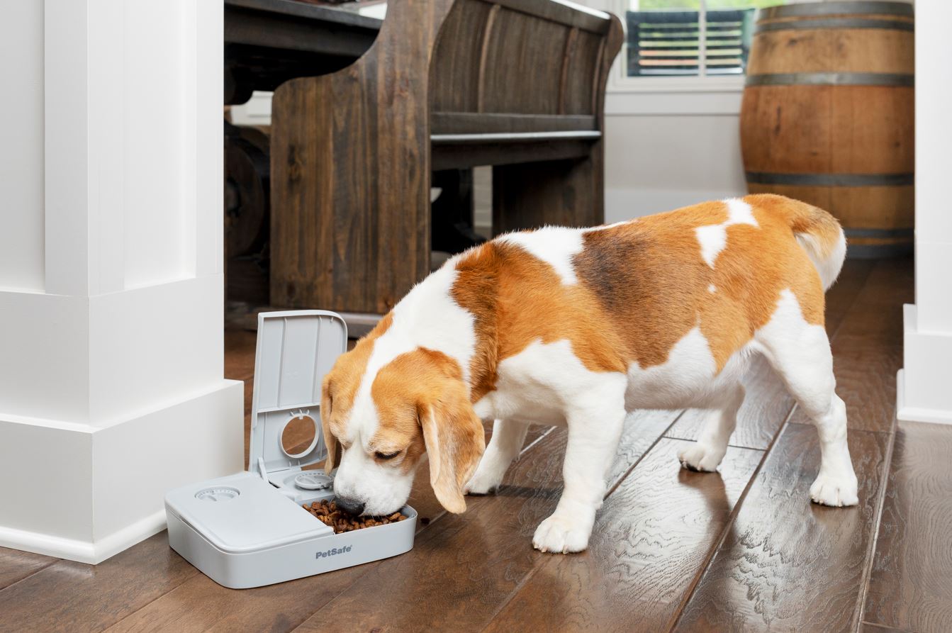 PetSafe Automatic Feeder for 2 Meals - BPA-Free