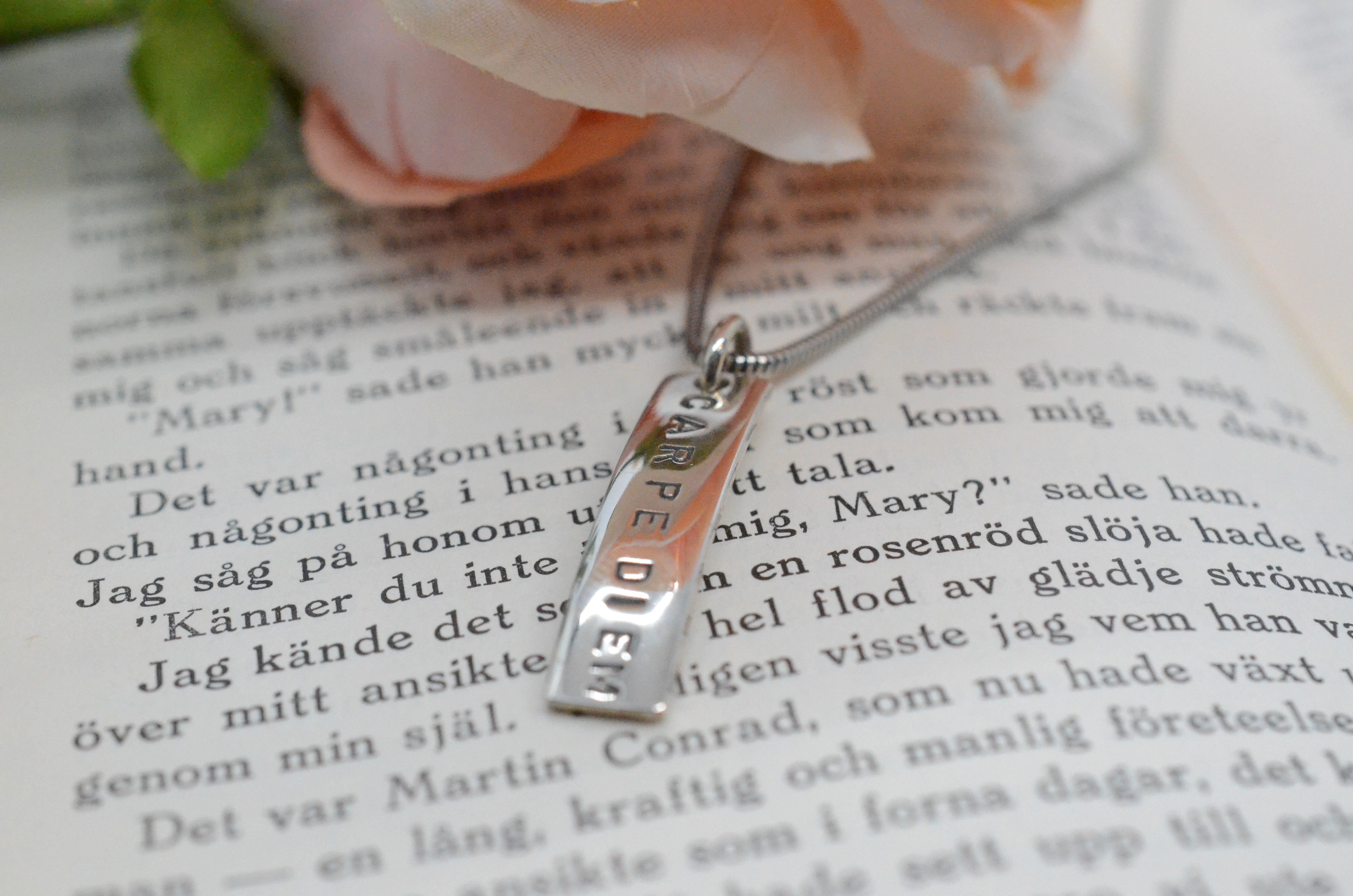 Second Hand Efva Attling silver necklace "Carpe Diem"