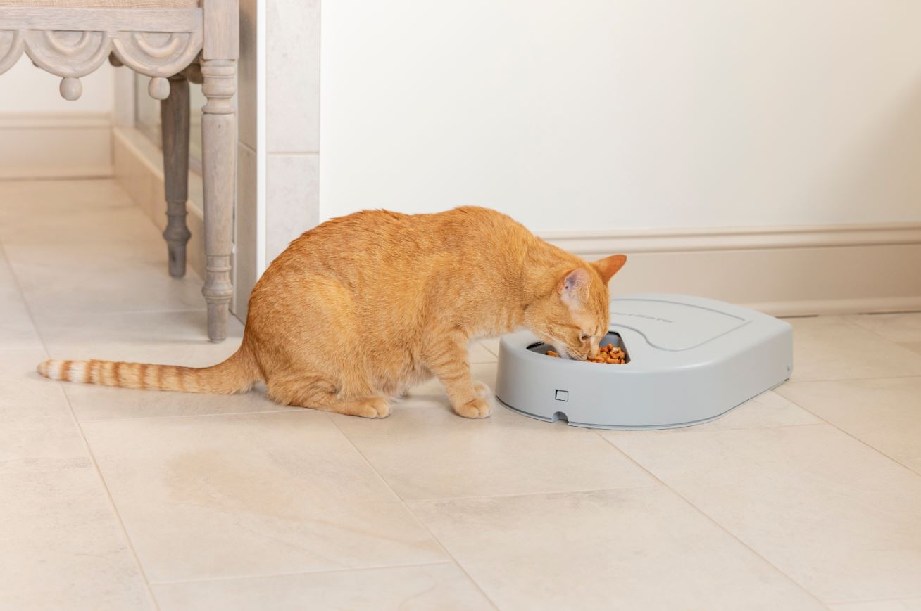 PetSafe Automatic Feeder for 5 Meals