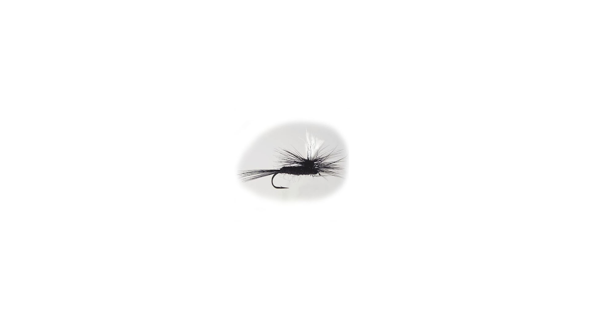 Parachute Black Gnat