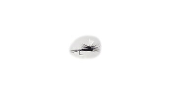 Parachute Black Gnat