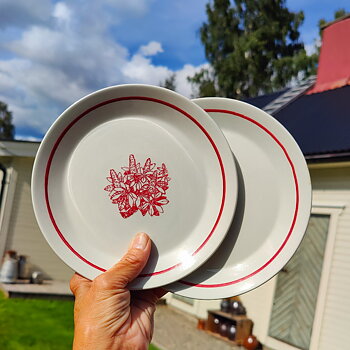 Assietter Spisa från Gustavsberg