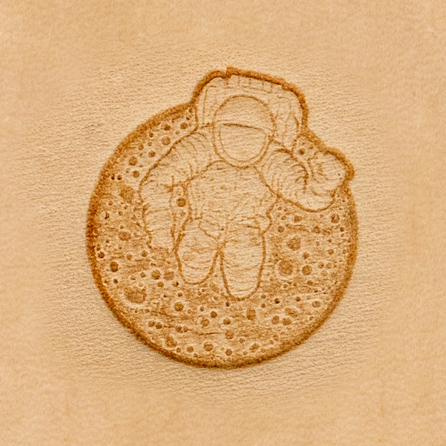 3D Puns - Moon Walker