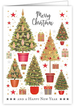 Christmas Trees In Pots With Presents, Mac Classic