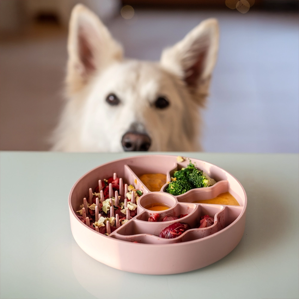 Hund katt matskål med olika fack till matberikning mataktivering av återvunnen plast