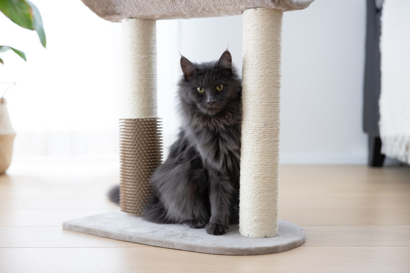 Kerbl Ambiance Cat Scratching Furniture - Taupe