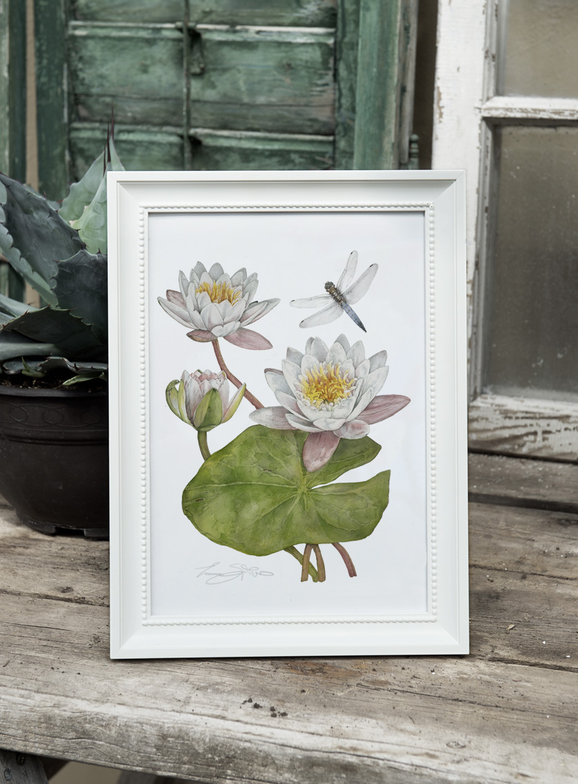 ART PRINT WATERLILLY 21x30