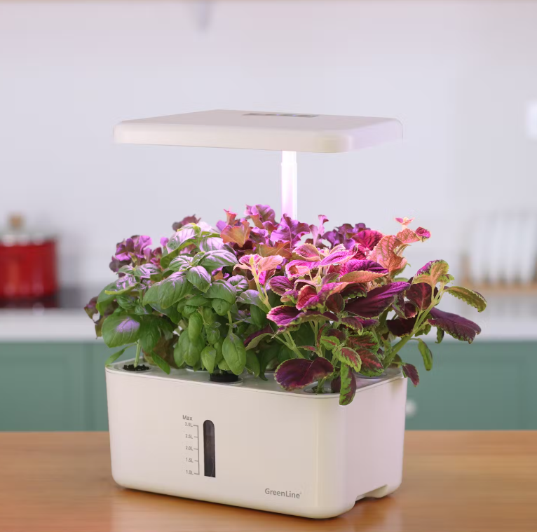 Growing kit Urban Growing P8 - 2