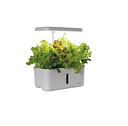 Growing kit Urban Growing P8