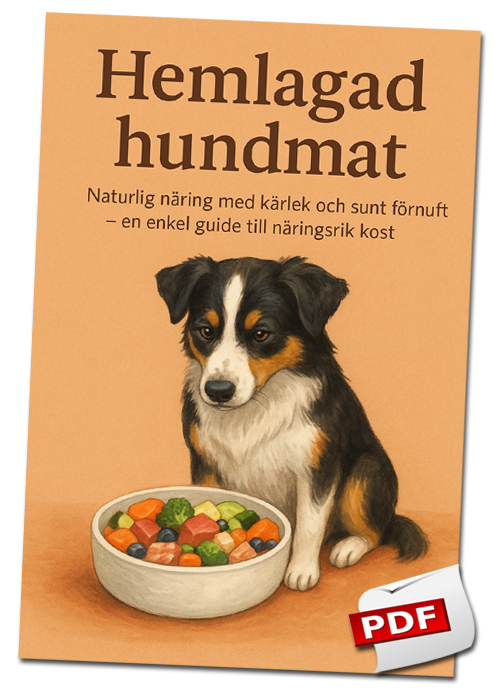 Hemlagad hundmat – en enkel guide till näringsrik kost (pdf-fil för nedladdning)