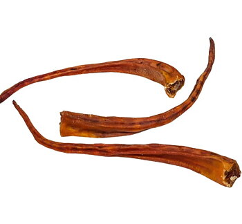Grisknorr