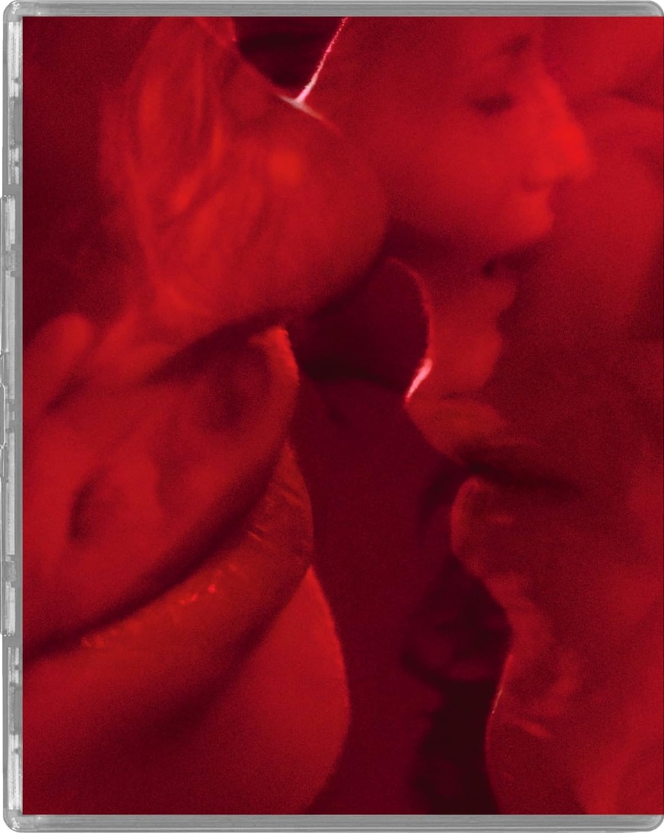 Daughters of Darkness (Limited Edition) (ej svensk text) (Blu-ray) - 8