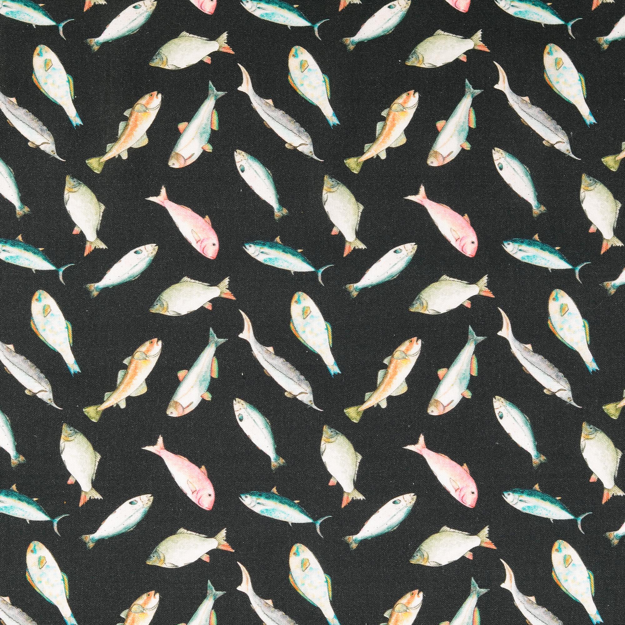 Poplin Fiskar