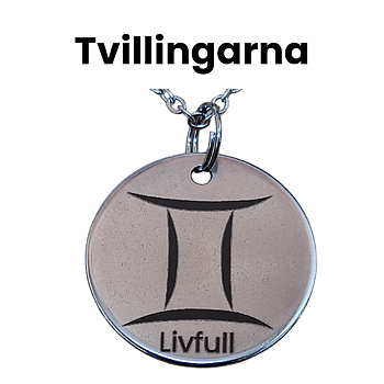 Tvillingarna