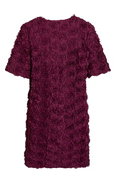 Vila Visophia Dress 2/4 Short Dress Fig