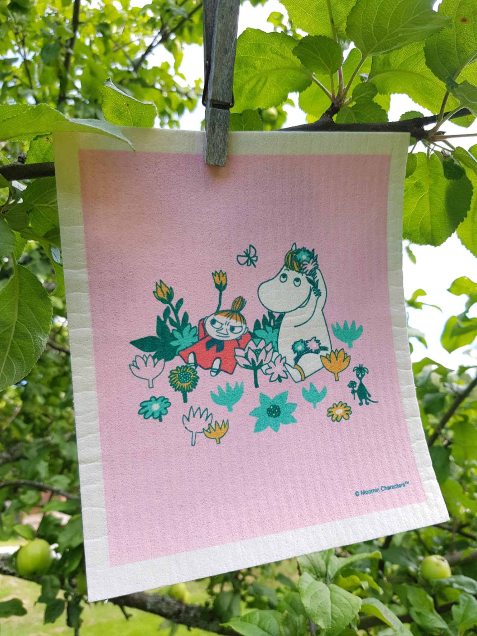 Disktrasa Lilla My & Snorkfröken 