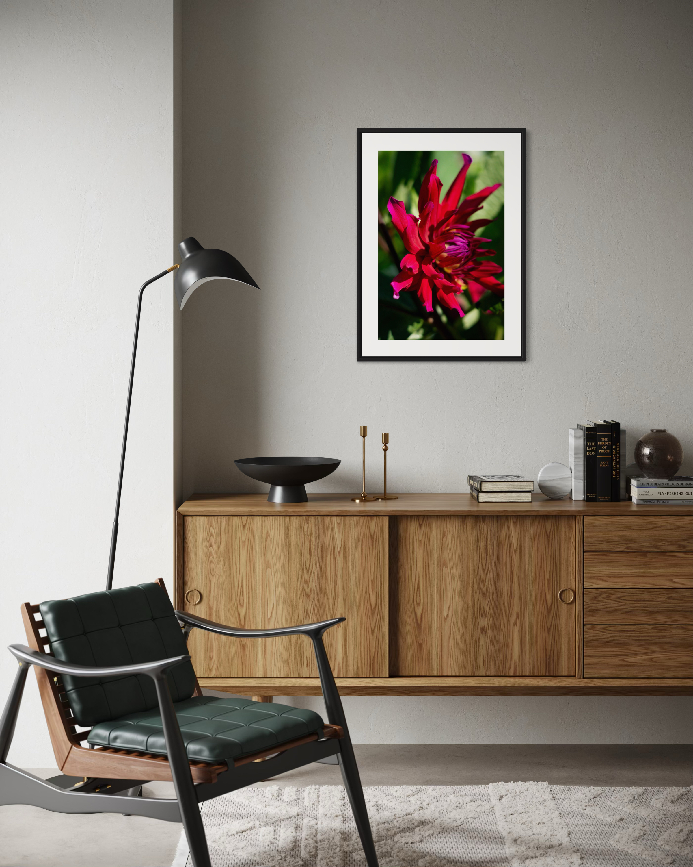 Red Star Dahlia - Poster
