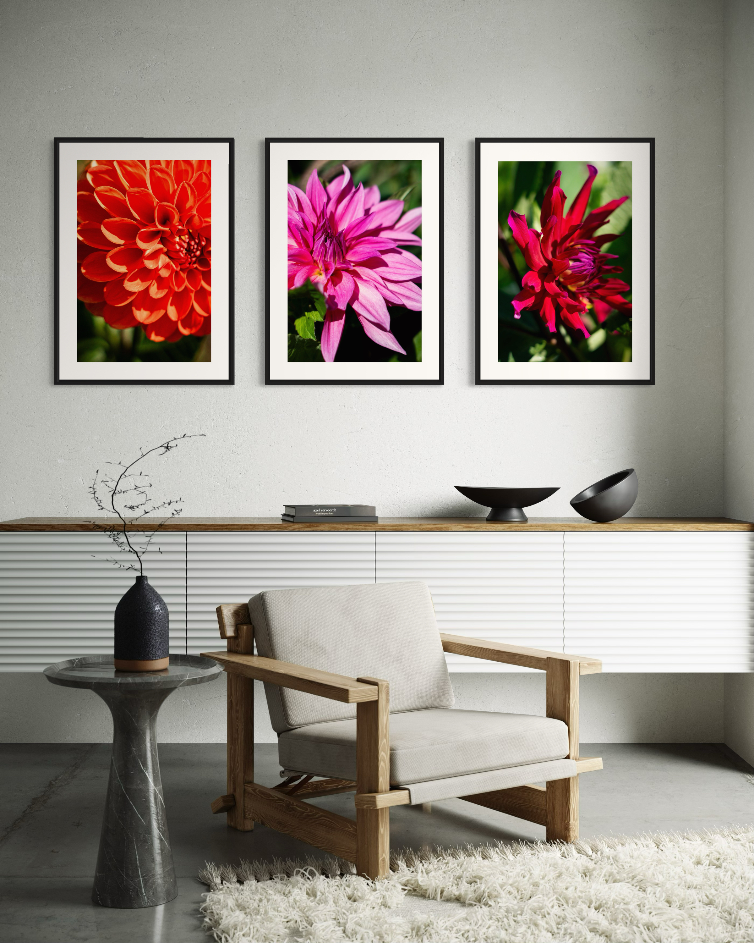 Red Star Dahlia - Poster - 3