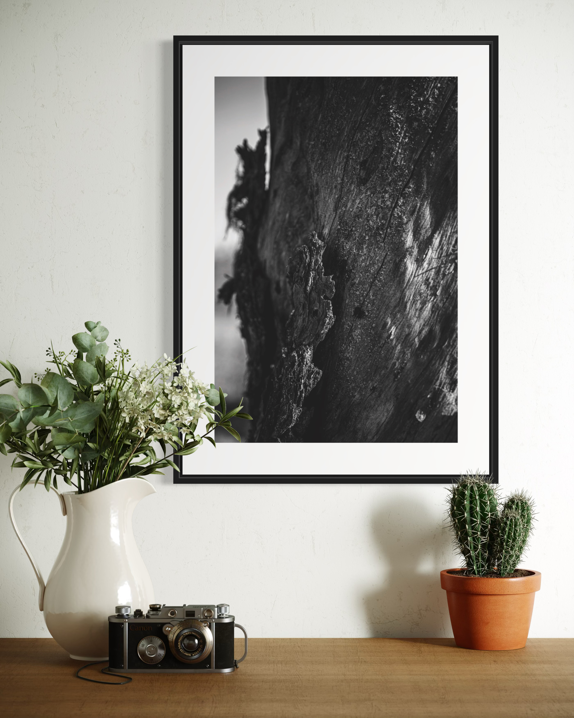 Bark - Poster