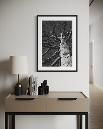 Tree Canopy - Poster