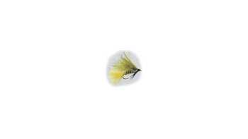 Streamer Dawson's Olive 