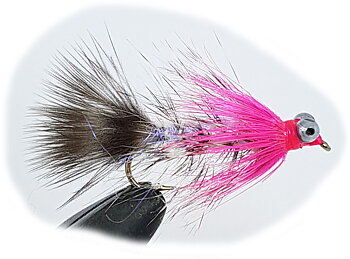 Streamer Polar Magnus