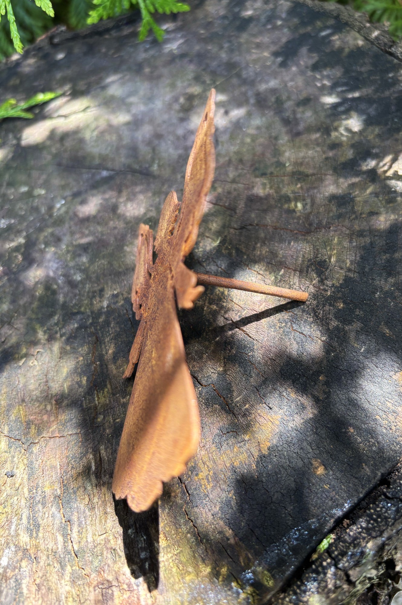 Ängel med pin - 3