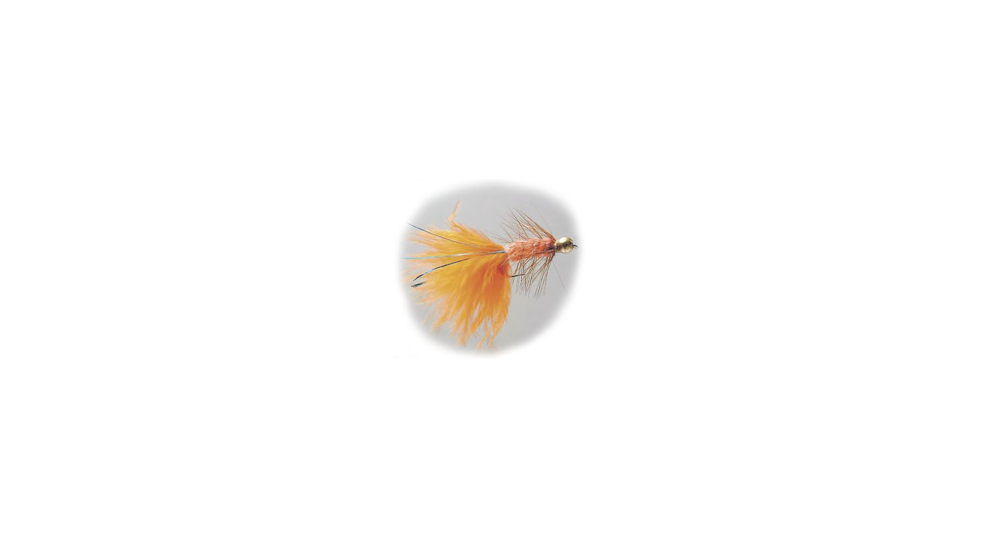 Gold Head Long Shank Nymph Wooly Bugger Orange