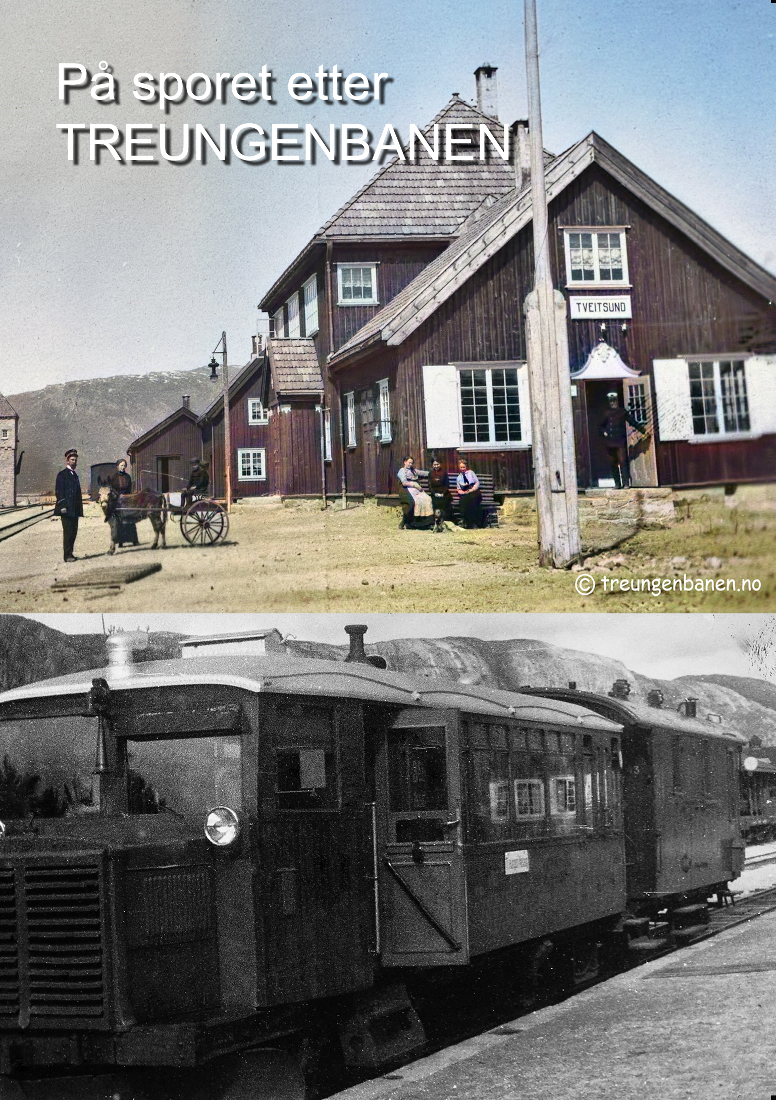 På sporet etter Treungbanen (DVD)