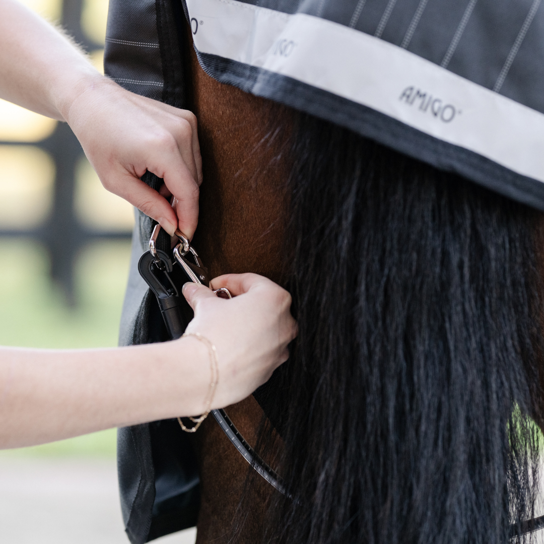 HORSEWARE ELASTICATED LEG STRAPS - 3